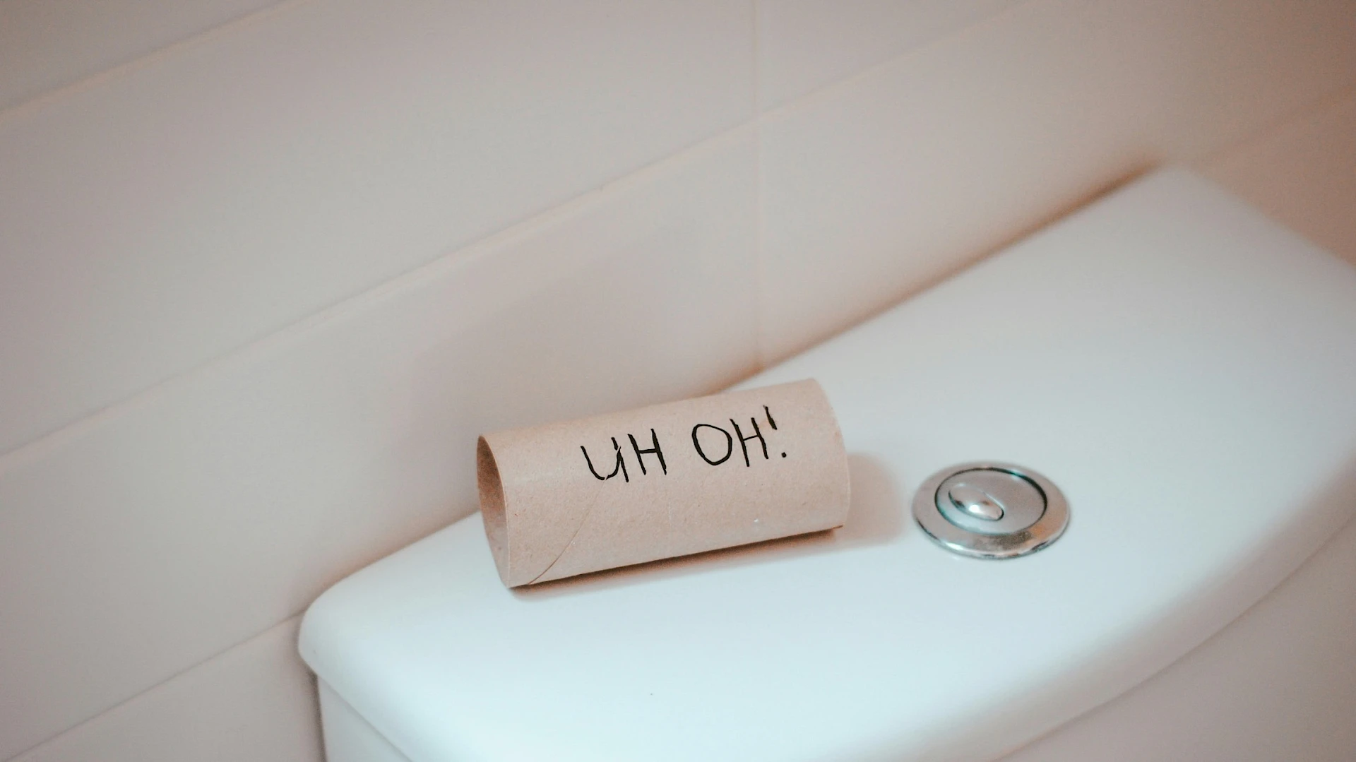 Kein Toilettenpapier mehr da! Und nun?